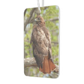 アカアシタカ – 猛禽類 カーエアーフレッシュナー (左)