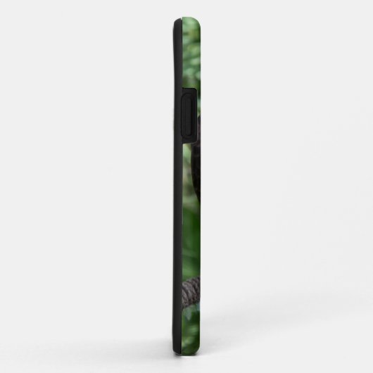 アカアシタカ Case-Mate iPhoneケース (裏面/右)