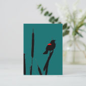 アカアシドリとキャットテール ポストカード (スタンド正面)