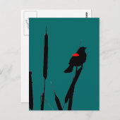 アカアシドリとキャットテール ポストカード (正面/裏面)