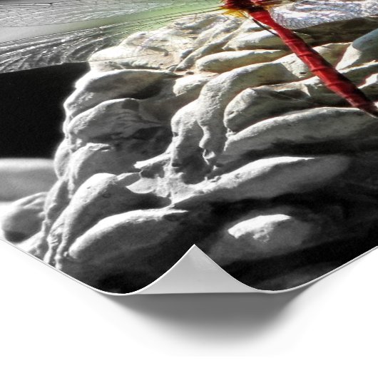 アカアシバエ(Sympetrum vicinum) ポスター (角)