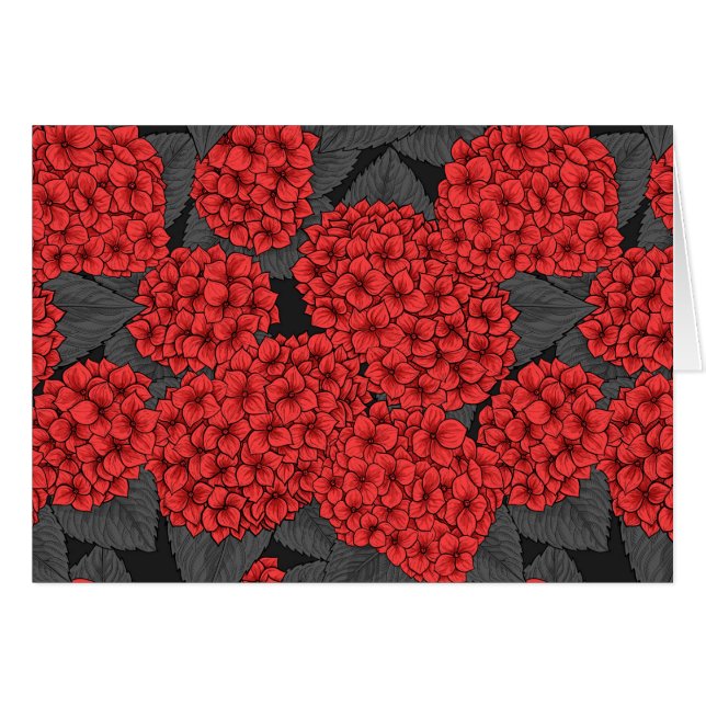 アカアジサイ (正面横)