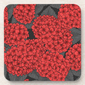 アカアジサイ コースター (正面)