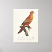 アカインコまたはEos Bornea, Trichoglossus borneus キャンバスプリント (正面)