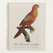 アカインコまたはEos Bornea、Trichoglossus borneus プランナー手帳 (正面)