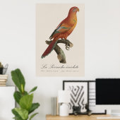 アカインコまたはEos Bornea、Trichoglossus borneus ポスター (ホームオフィス)