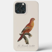アカインコまたはEos Bornea、Trichoglossus borneus Case-Mate iPhoneケース (裏面)