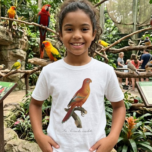 アカインコまたはEos Bornea、Trichoglossus borneus Tシャツ