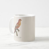 アカインコ (Eos Bornea, Trichoglossus borneus) コーヒーマグカップ (正面左)