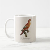 アカインコ (Eos Bornea, Trichoglossus borneus) コーヒーマグカップ (左)