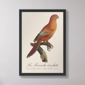 アカインコ (Eos Bornea, Trichoglossus borneus) フォトプリント