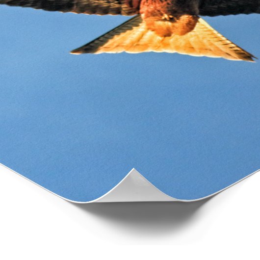 アカイ ポスター (角)