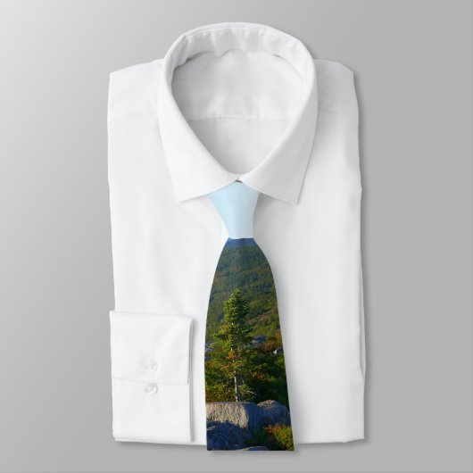 アカウディアのキャデラック山の上の朝 ネクタイ (タイ)