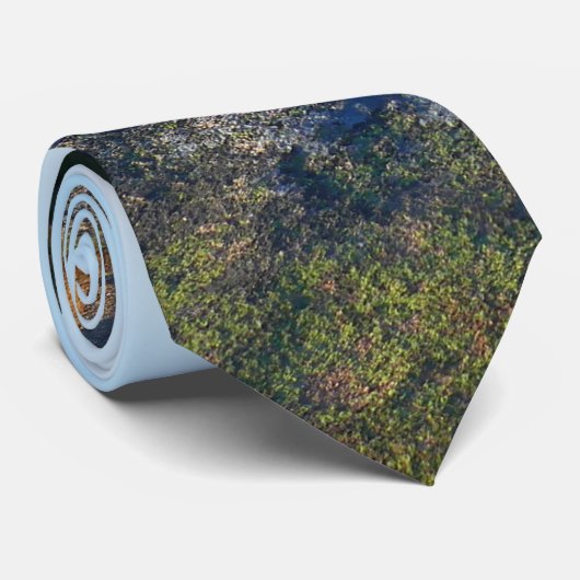 アカウディアのキャデラック山の上の朝 ネクタイ (ロール)