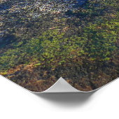 アカウディアのキャデラック山の上の朝 ポスター (角)