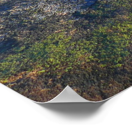 アカウディアのキャデラック山の上の朝 ポスター (角)