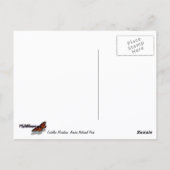 アカウディアのキャデラック山の上の朝 ポストカード (裏面)