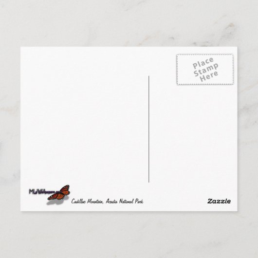 アカウディアのキャデラック山の上の朝 ポストカード (裏面)