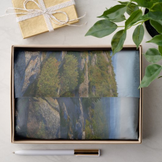 アカウディアのキャデラック山の上の朝 薄葉紙 (ギフト)