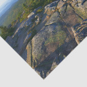 アカウディアのキャデラック山の上の朝 薄葉紙 (詳細)