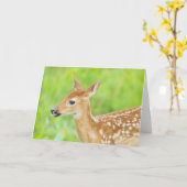 アカウミガエル |ミネソタ カード (黄色い花)