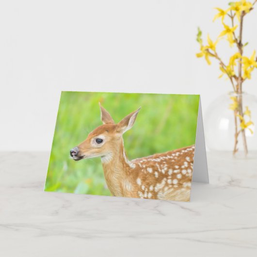 アカウミガエル |ミネソタ カード (黄色い花)