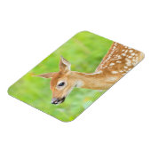 アカウミガエル |ミネソタ マグネット (左側)