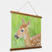 アカウミガエル |ミネソタ 吊り下げ型タペストリー (傾斜あり)