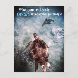 アカウミガメとアシカの水中 シーズンポストカード