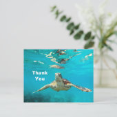 アカウミガメに感謝 ポストカード (スタンド正面)