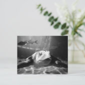 アカウミガメのクローズアップ ポストカード (スタンド正面)