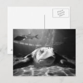 アカウミガメのクローズアップ ポストカード (正面/裏面)