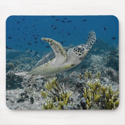 アカウミガメの泳ぎ マウスパッド (正面)
