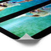 アカウミガメ勉強ポスター ポスター (角)