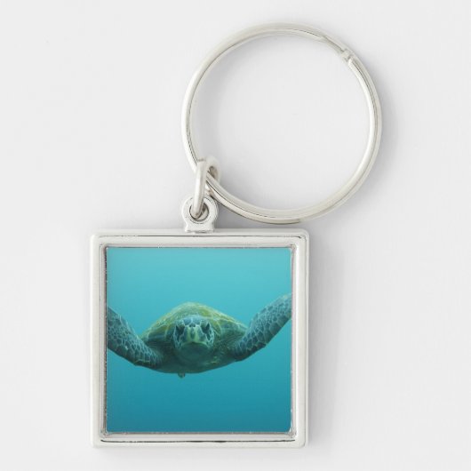 アカウミガメ (Chelonia mydas agassisi) 中央 キーホルダー (正面)