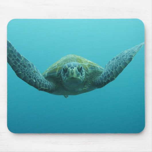 アカウミガメ (Chelonia mydas agassisi)、中央 マウスパッド (正面)