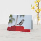 アカウミドリグリーティングカード カード (黄色い花)