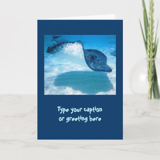 アカエイのメッセージカード カード (正面)