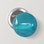 アカエイボタン 缶バッジ (正面&裏面)