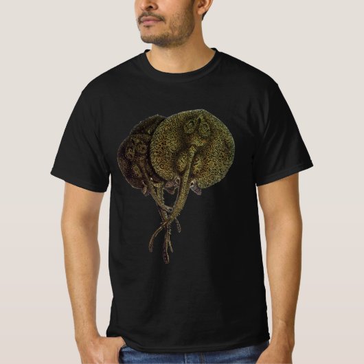 アカエイ サンゴエイ, ビンテージ海洋生物 動物たち Tシャツ (正面)