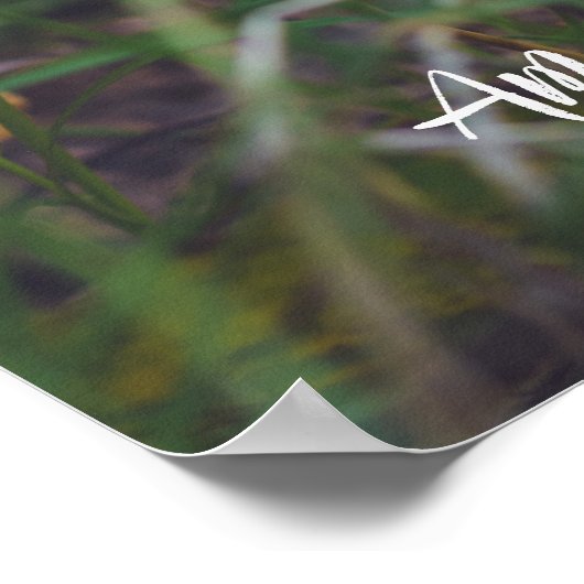 アカエイ ポスター (角)