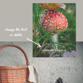 アカエイ ポスター