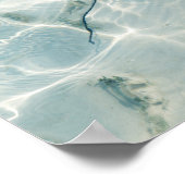 アカエイ ポスター (角)