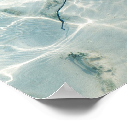 アカエイ ポスター (角)