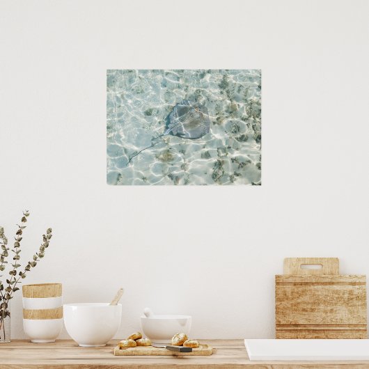 アカエイ ポスター (キッチン)