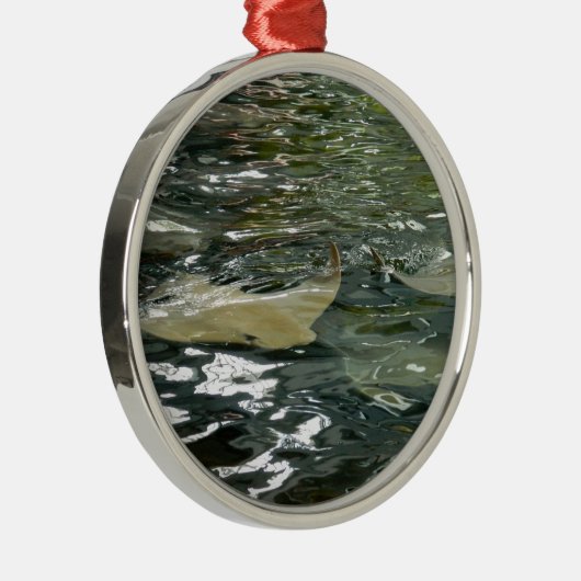 アカエイ メタルオーナメント (右)