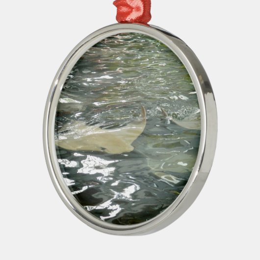 アカエイ メタルオーナメント (左)