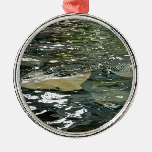 アカエイ メタルオーナメント (正面)