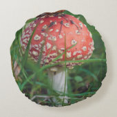 アカエイ ラウンドクッション (裏面)