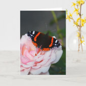 アカエビチョウ カード (黄色い花)